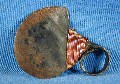 Unknown African disc/ring knife